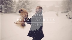 The-Great-Polar-Vortex-of-2014