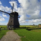 The Netherlands is a constituent country of the Kingdom of...