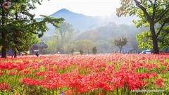 Beautiful-South-Korea-Landscape-in-4K-UHD-Timelapse