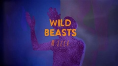 Wild-Beasts---Mecca