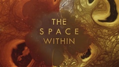 THE-SPACE-WITHIN