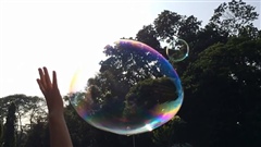 Everyone-love-bubbles