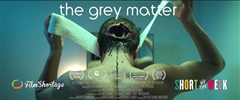 The-Grey-Matter