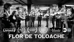 Flor-de-Toloache-Rhythm-in-Motion-series