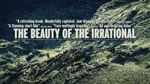 The-Beauty-of-the-Irrational