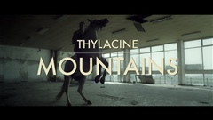 Thylacine---Mountains-Official-Video