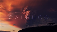 CALBUCO