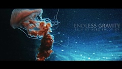 Endless-Gravity--14-BIT-RAW