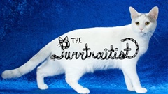 The-Purrtraitist