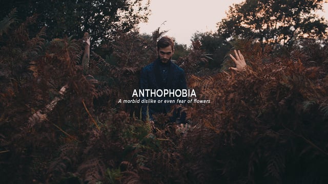 ANTHOPHOBIA-|-Short-Film