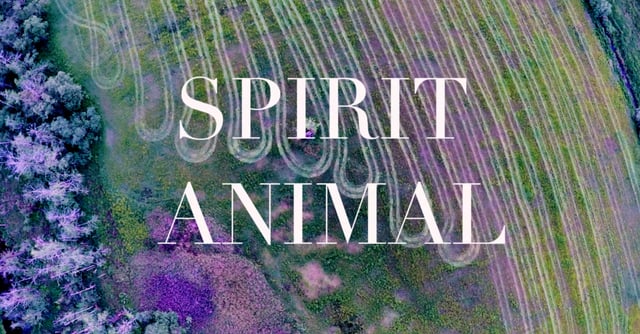 SPIRIT-ANIMAL