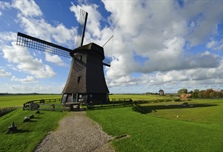 The Netherlands is a constituent country of the Kingdom of the Netherlands,...