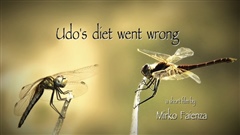 Udos-diet-went-wrong