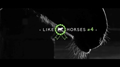 LIKE-♥-HORSES--4