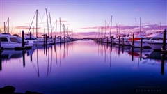 A-Tranquil-City---Auckland-1080p-Timelapse