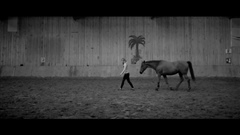 LIKE-♥-HORSES