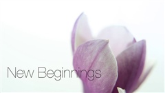 New-Beginnings