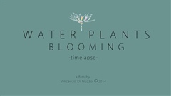 WATER-PLANTS-BLOOMING-2014