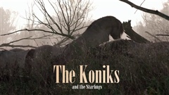 The-Koniks-and-the-Starlings