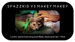 Objects-Hacked-To-Make-Music-Sushi-Cats--More