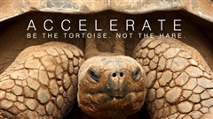 ACCELERATE-Be-the-Tortoise-Not-the-Hare