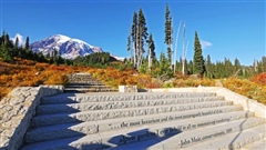 Mount-Rainier-National-Park---tv-series--in-4K-trailer