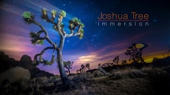 Joshua-Tree--Immersion