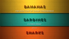 Bananas-Sardines-and-Sharks