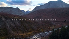 The-Wild-Northern-Rockies