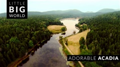 Adorable-Acadia-National-Park