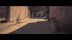 Perspective-II