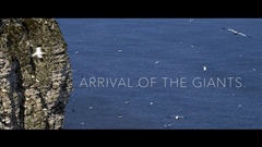 Arrival-of-the-Giants