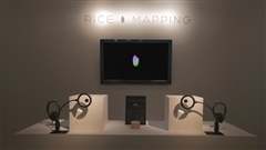 RICE-MAPPING