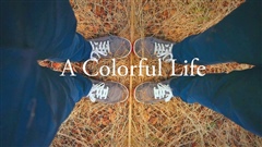 Matty-Brown---A-Colorful-Life