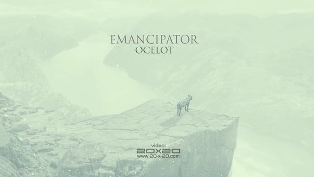 Emancipator---Ocelot-Official-Music-Video