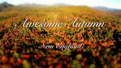 Awesome-Autumn