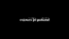 Colours-in-Autumn