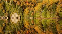 Adirondack-Autumn