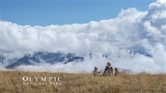 Adventure-with-Family-Olympic-National-Park